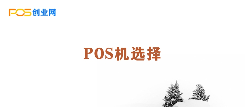 个人收款新选择：大POS机与小POS机的全面对比