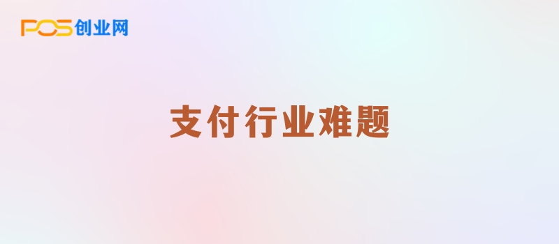 支付行业盈利难题：为何你的努力未能转化为收益？